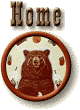 bear home button