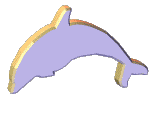 animated jumping dolphin