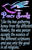Peace Seed Link