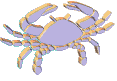 animated cancer crab