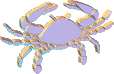 gold cancer crab