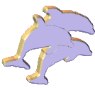 3 dolphins jumping animation