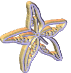 animated starfish clip art